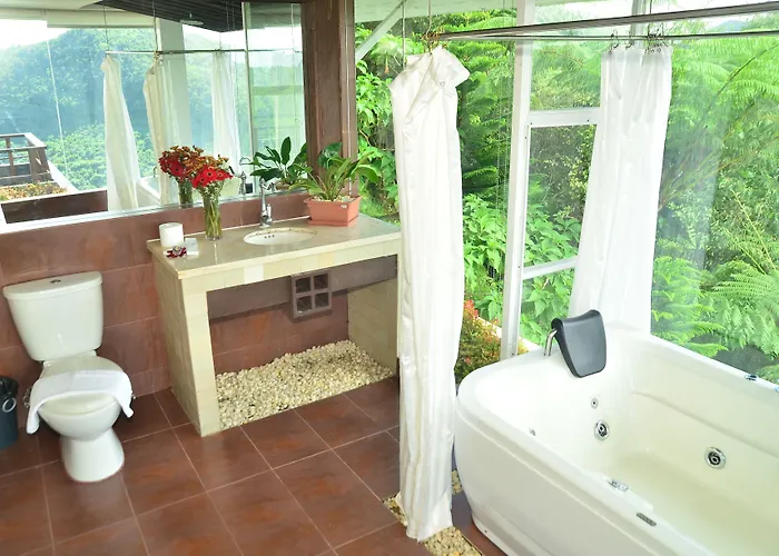 West 35 Eco Mountain
